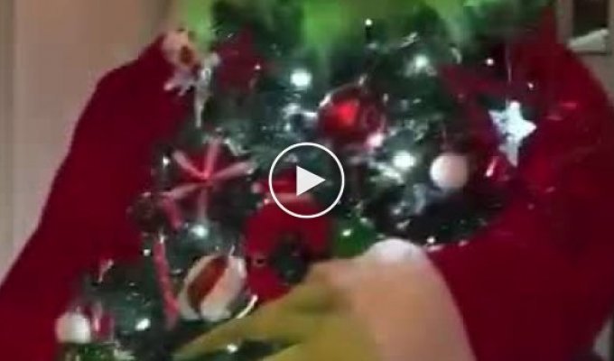 Рождественская елка с реалистичным Гринчем