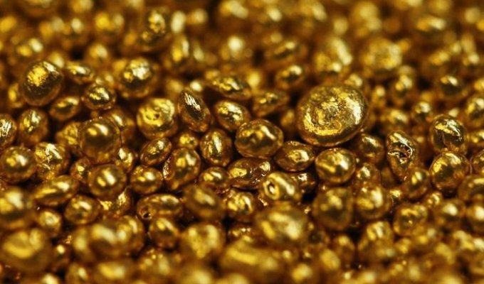 Что такое "золотые шоколадки" (16 фото)