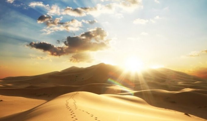 Что вы могли не знать о пустыне Сахара (11 фото)
