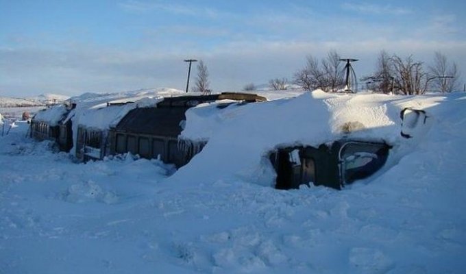 Последствия снежной зимы (3 фото)