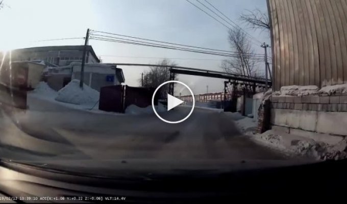 В Новокузнецке водитель спас девочку от агрессивных бродячих собак