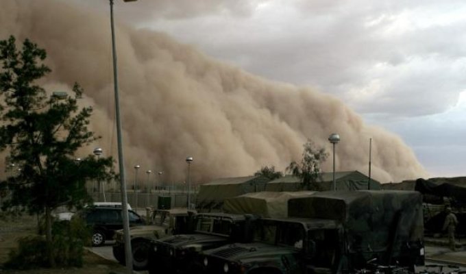 Буря в пустыне (10 фото)