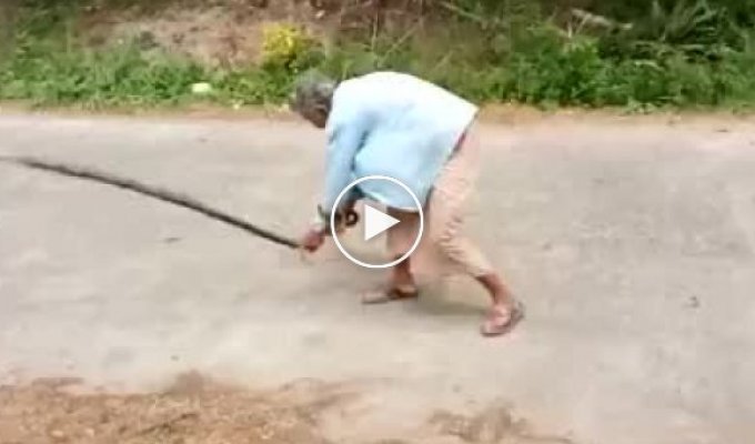 Тайская бабушка разобралась со змеей, которая заползла в её дом