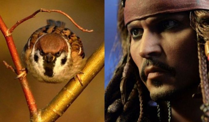 За что главный персонаж «Пиратов Карибского моря» получил свое прозвище? (3 фото)
