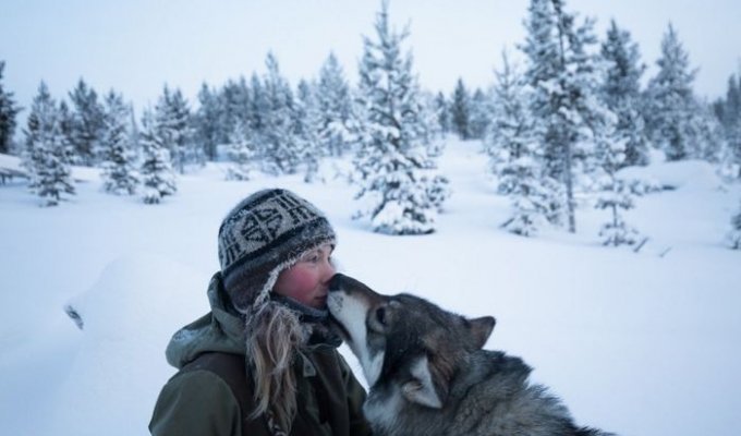 Жизнь отшельницы на севере Финляндии (20 фото)