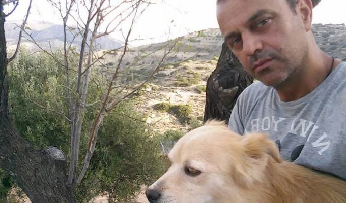 Греческий стоматолог посвятил себя спасению собак (5 фото)