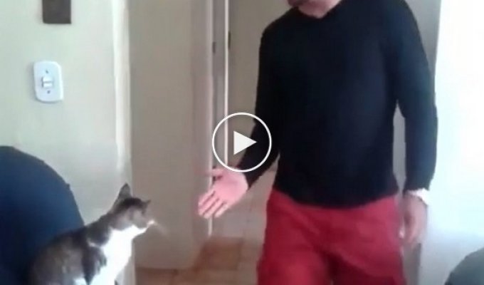 Кот который знает как здороваться со своим хозяином
