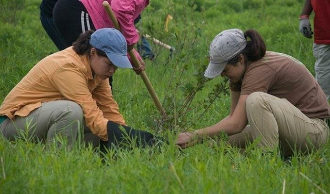 Чтобы получить высшее образование на Филиппинах студентам нужно посадить по 10 деревьев (6 фото)