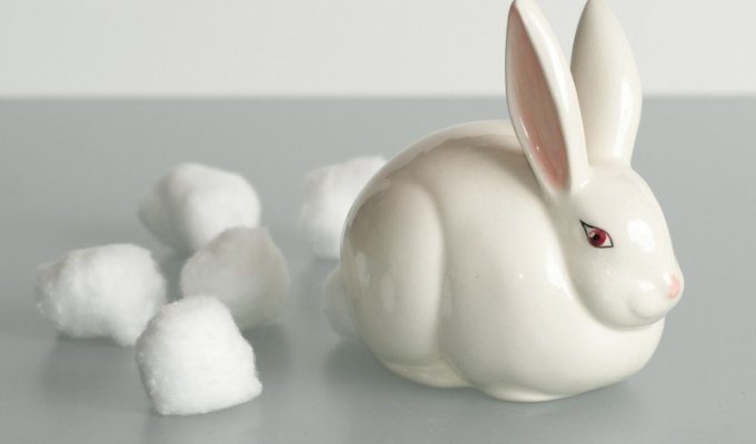 25 милейших вещиц для тех, кто неровно дышит к кроликам (27 фото)