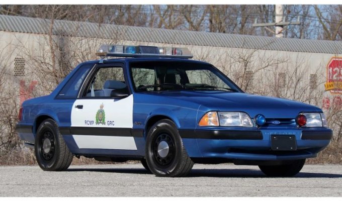 Редкий полицейский Ford Mustang с дробовиком продадут с аукциона (15 фото)