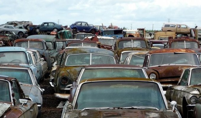 Автомобильное кладбище в Орегоне (99 фото)
