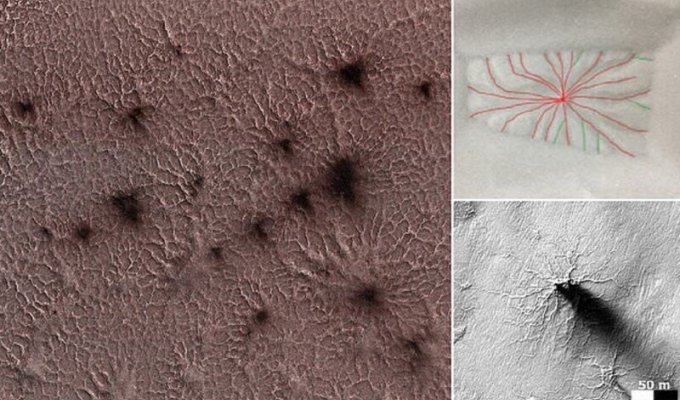 Ученые объяснили происхождение марсианских пауков (7 фото)