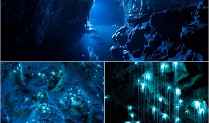 Уникальная пещера в Новой Зеландии, которой 30 миллионов лет (16 фото)