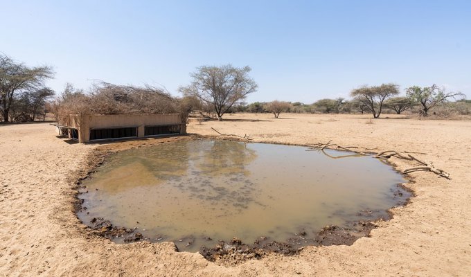 В Африке фотограф построил пруд, и животные теперь приходят на водопой (17 фото)