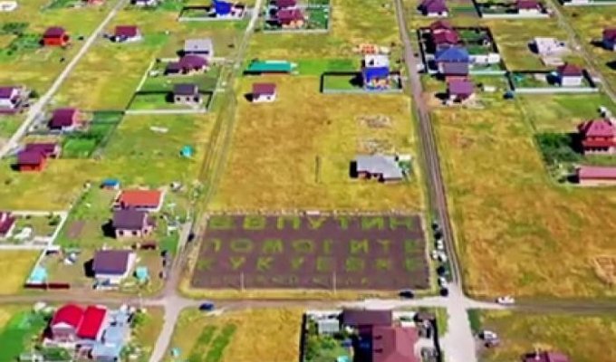 Жители российского села попытались достучаться до Путина кустами картошки (1 фото + 1 видео)