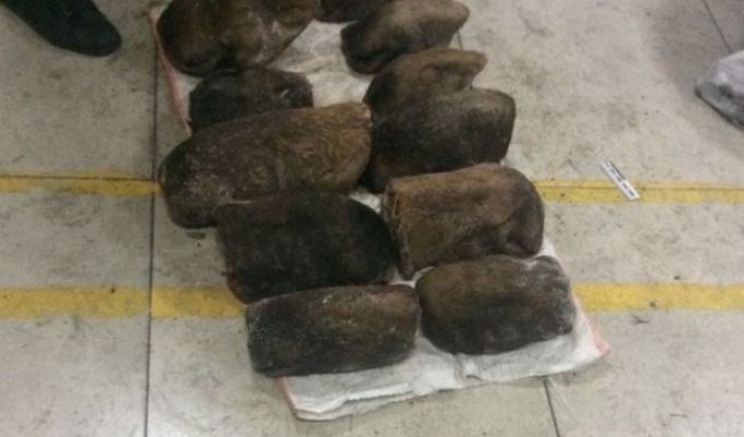 В Забайкалье задержали контрабандный груз из сотен медвежьих лап (2 фото)