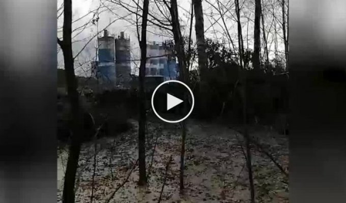 В Кингисеппском районе Петербурга обнаружили бетонный лес