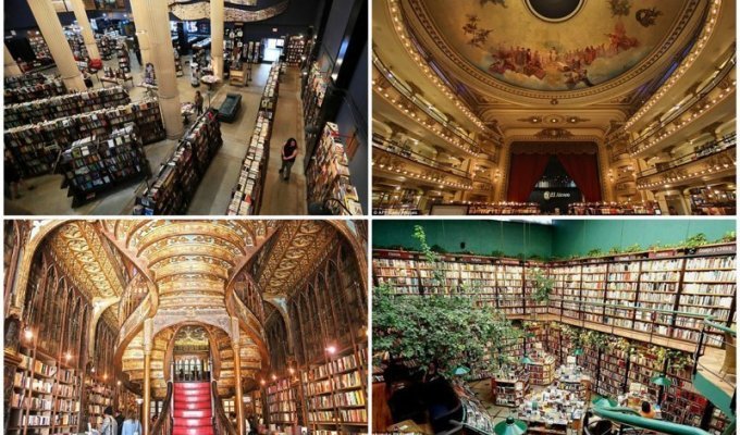 16 красивейших книжных магазинов планеты, в которых хочется потеряться (17 фото)
