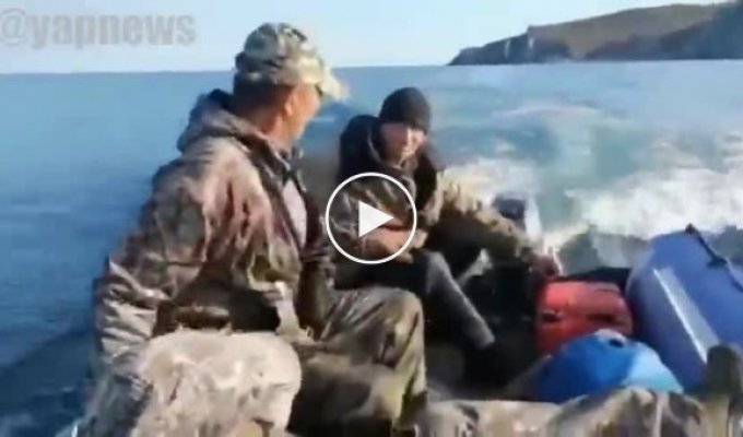 В Охотском море косатка напала на лодку с рыбаками и чуть не потопила (мат)