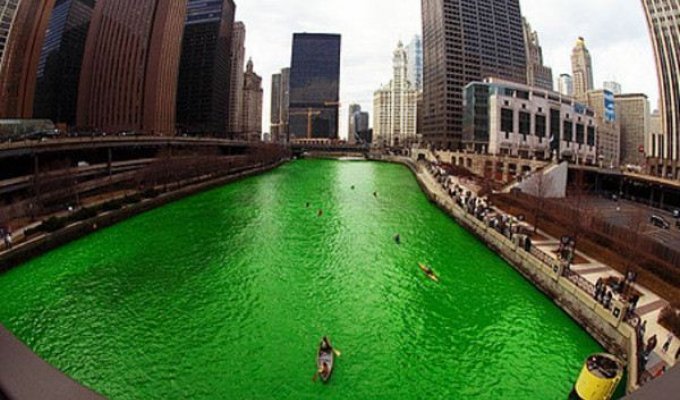 Изумрудные воды Чикаго (11 фото)