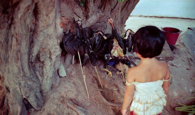 Колдуны Камбоджи (18 фото)