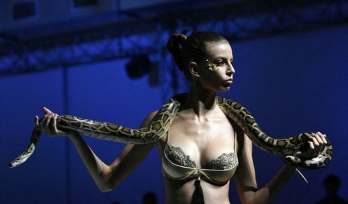 Модели и змеи на показе Triumph Lingerie в Сингапуре (16 фото)