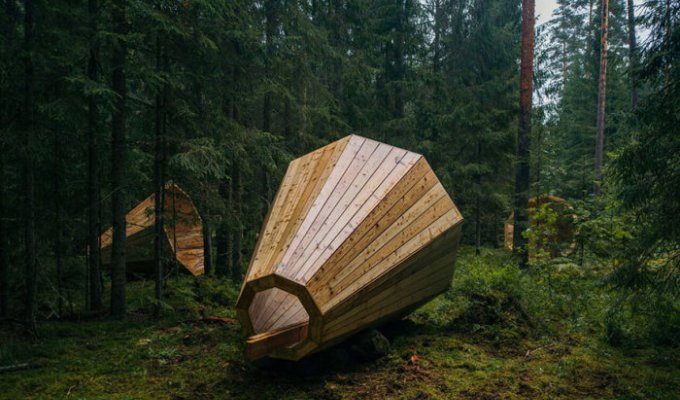 Эстонские студенты усилили звуки природы благодаря гигантским рупорам (10 фото)