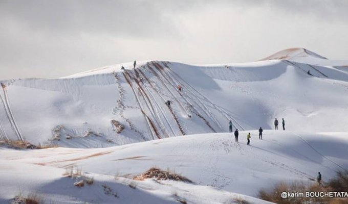 Сахара как Москва: в пустыне опять выпал снег (11 фото)