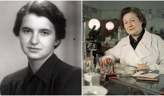 Женщины-учёные, оказавшие большое влияние на мир. Часть 2 (13 фото)