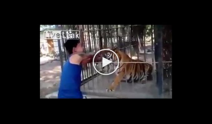 Азиат засунул руку в клетку с тигром и очень скоро пожалел об этом