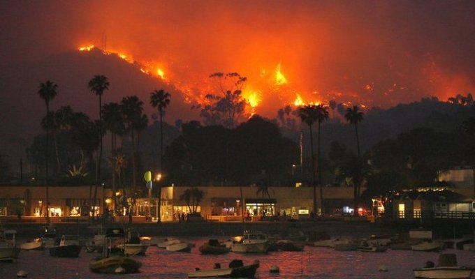 Пожари в америке (8 фото)