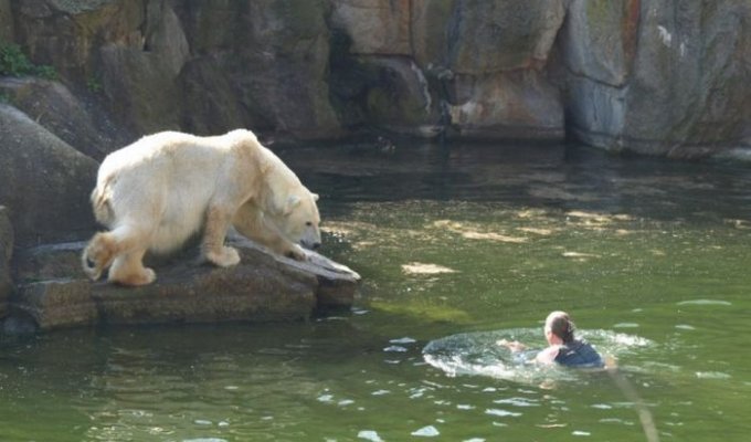  Чудесное спасение в берлинском зоопарке (4 фото)