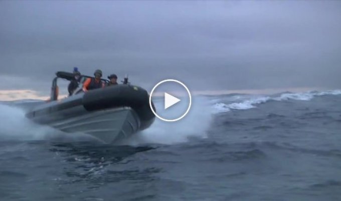 Испанские военные протаранили лодки активистов Greenpeace