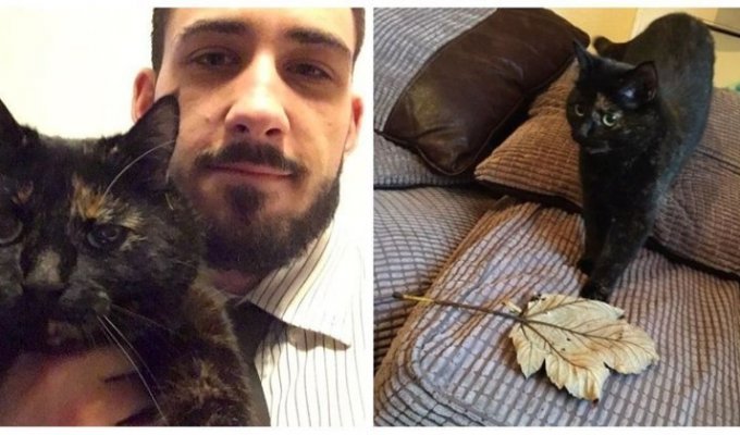 Трогательная история кошки, которая каждое утро приносит хозяину лист по необычной причине (14 фото)