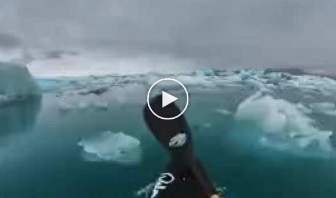 Отважный парень рассекающий по водам где много айсбергов