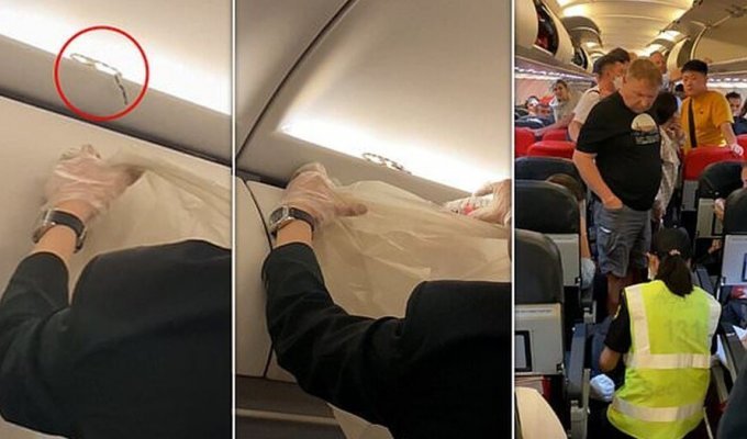 Змея пробралась в самолёт и напугала пассажиров (3 фото + 1 видео)
