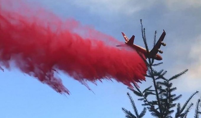 Cамый мощный в мире пожарный самолет борется с огнем в Калифорнии (3 фото + 2 видео)