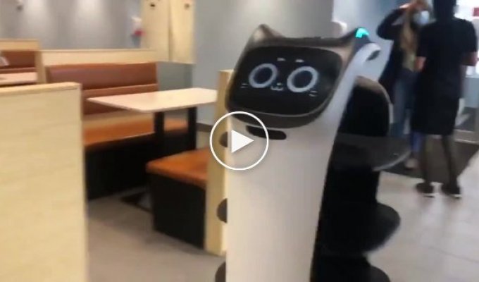В Британии сеть китайских ресторанов заменила официантов роботами