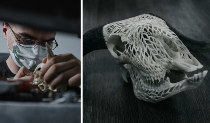 Румынский резчик по кости превращает черепа в произведения искусства (16 фото)