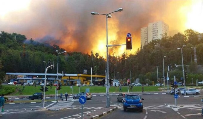 В Хайфе из-за пожара эвакуированы более 60 000 человек (7 фото + 2 видео)