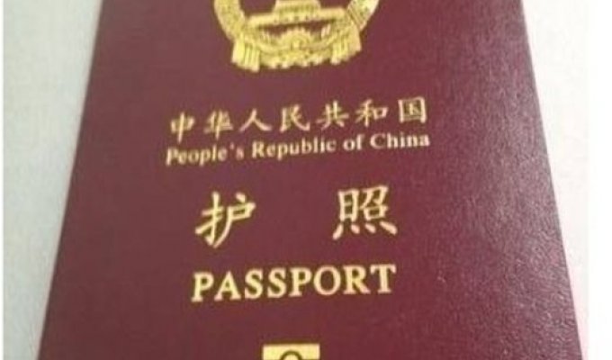 Оставил свой паспорт на виду у 4-летнего ребенка (3 фото)