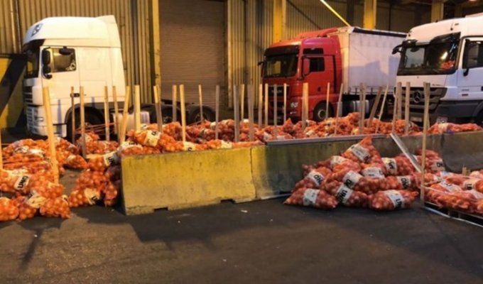 В грузовике с луком и помидорами обнаружили 400 кг героина и кокаина стоимостью 27 млн фунтов (2 фото)