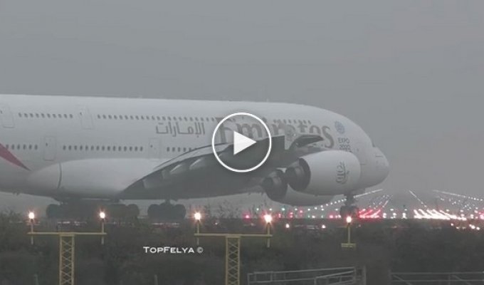 Экстремальная посадка самолетов в лондонском аэропорту в непроглядный туман