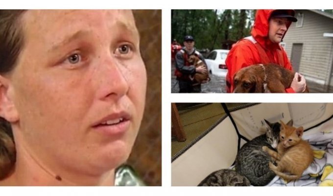Женщину, спасшую во время наводнения кошек и собак, арестовали за организацию стихийного приюта (7 фото)
