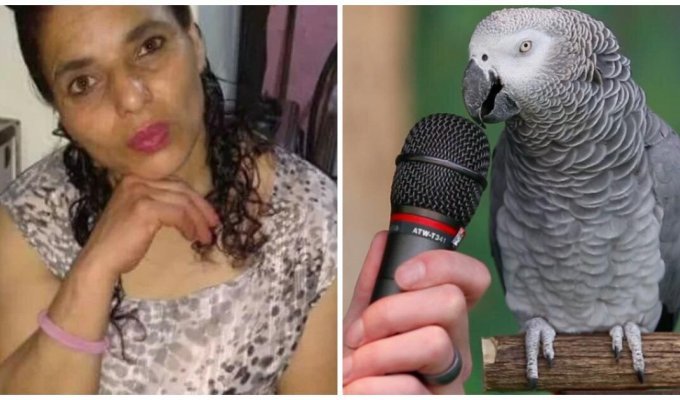 В Аргентине главным свидетелем в деле об убийстве выступил попугай (3 фото)