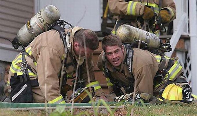 Отважный пожарный спас собаку (5 фото)