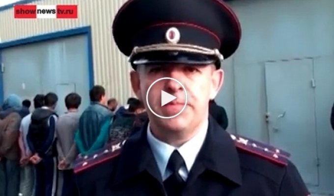 Российская полиция раскрыла тайну исчезновения тараканов