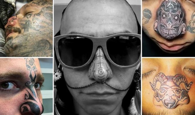 Новый модный тренд: татуировки на носу (14 фото)