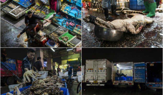 Традиционные рынки Южной Кореи (14 фото)