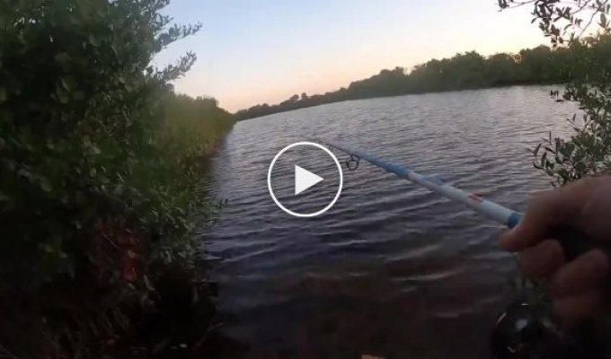 Неожиданная опасность во время рыбалки